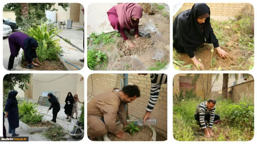 در راستای شعار هر دانشجو یک درخت در مراکز دانشگاه فنی و حرفه ای استان بوشهر رخ داد
"آیین کاشت نهال به مناسبت روز درختکاری "