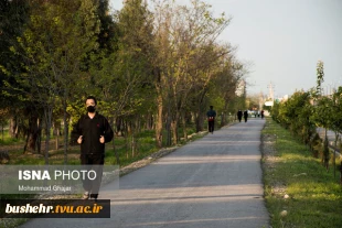 جشنواره پیاده‌روی مجازی ۵۰ روز ۵۰ کیلومتر با جوایز نفیس 3