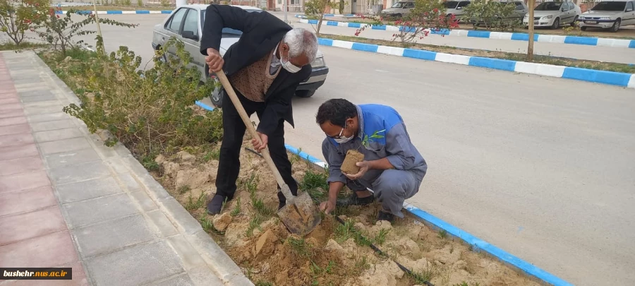 کارکنان دانشگاه فنی و حرفه ای استان بوشهر با حضور در گلزار شهدای گمنام دانشکده فنی و حرفه ای امام خامنه ای بوشهر و هرس نهال به نام شهدای انقلاب اسلامی، دهه مبارک فجر را گرامی داشتند 2