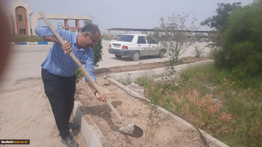 به مناسبت روز درختکاری و هفته منابع طبیعی در دانشگاه فنی و حرفه ای واحد بوشهر برگزار شد؛ 10