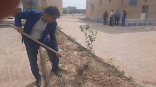 به مناسبت روز درختکاری و هفته منابع طبیعی در دانشگاه فنی و حرفه ای واحد بوشهر برگزار شد؛ 13