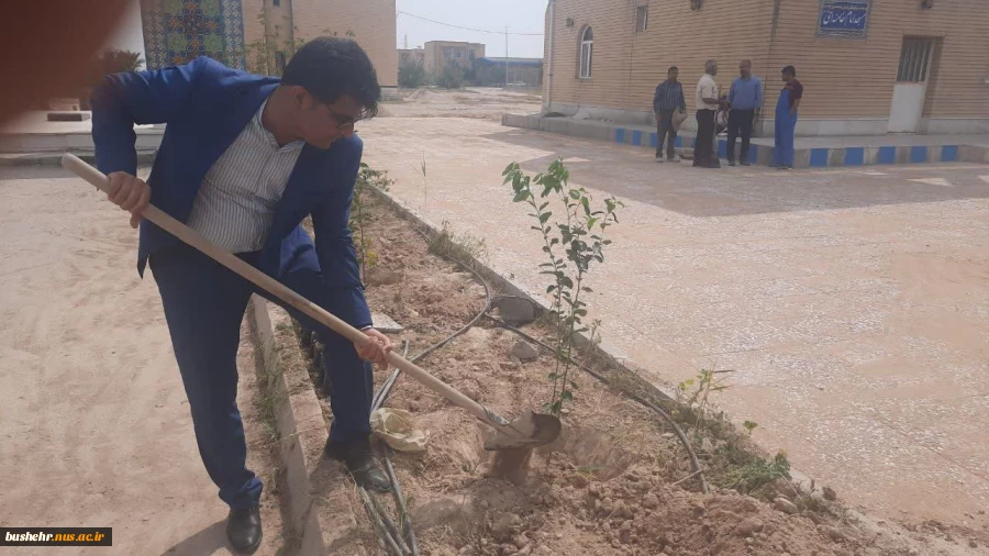 به مناسبت روز درختکاری و هفته منابع طبیعی در دانشگاه فنی و حرفه ای واحد بوشهر برگزار شد؛ 13