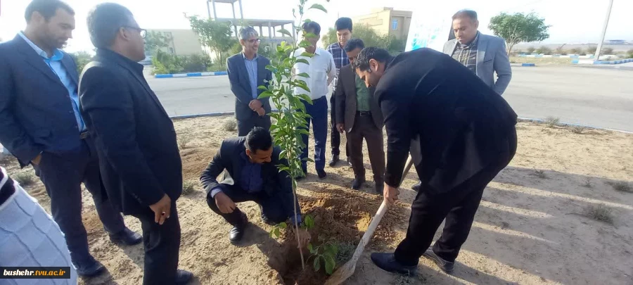 به مناسبت هفته بسیج صورت گرفت:
آغاز طرح کاشت نهال "هر ایرانی، یک نهال" 2